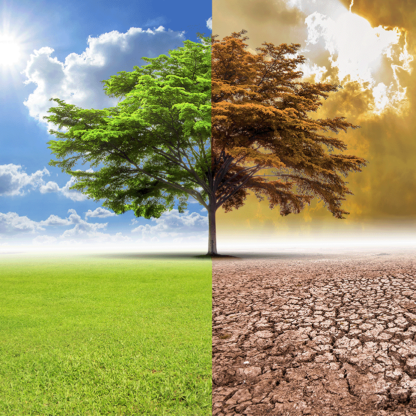 climate change